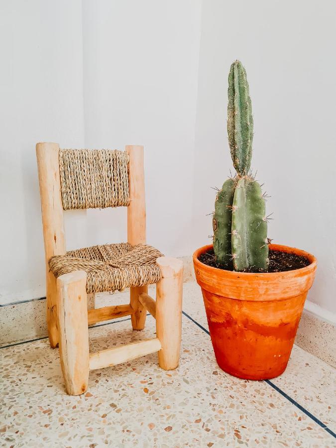 A Pousada Cactus Surf House Tamraght Exterior foto